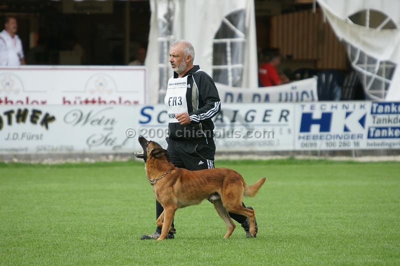 VIP des Loups Mutins908.JPG